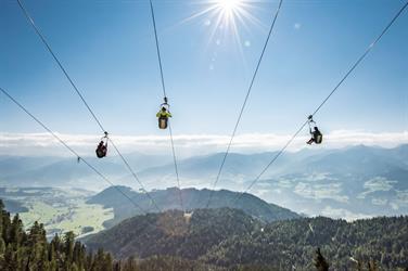Image for: ZIPLINE